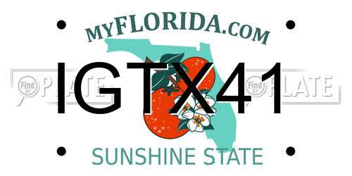IGTX41 Florida License Plate