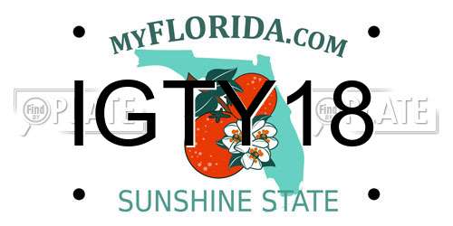 IGTY18 Florida License Plate