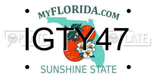 IGTY47 Florida License Plate