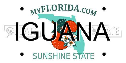 IGUANA Florida License Plate