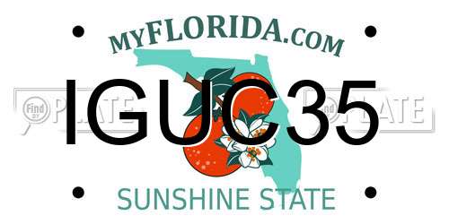 IGUC35 Florida License Plate