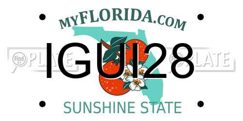 IGUI28 Florida License Plate