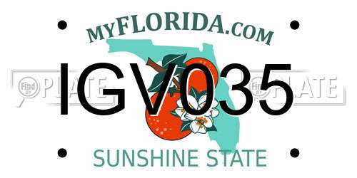 IGV035 Florida License Plate