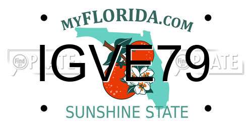 IGVE79 Florida License Plate