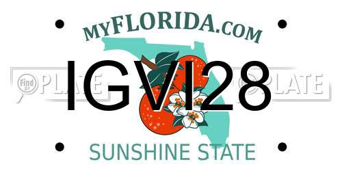 IGVI28 Florida License Plate