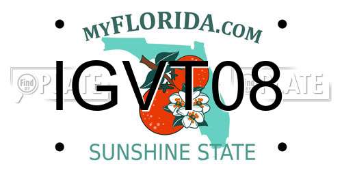 IGVT08 Florida License Plate