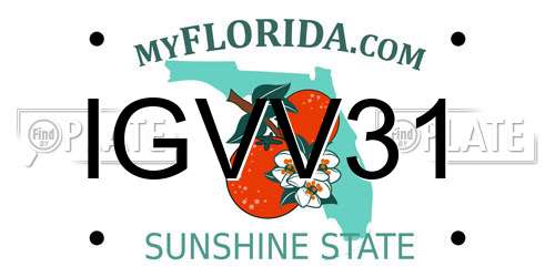 IGVV31 Florida License Plate