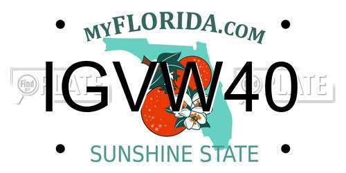 IGVW40 Florida License Plate