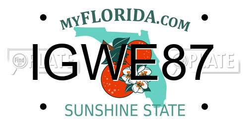 IGWE87 Florida License Plate