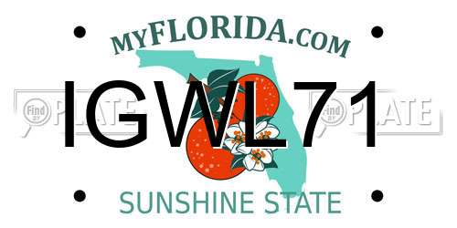 IGWL71 Florida License Plate