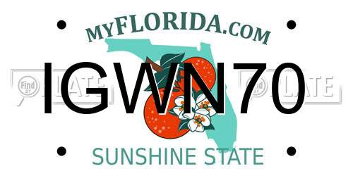 IGWN70 Florida License Plate