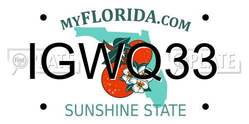 IGWQ33 Florida License Plate