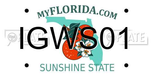 IGWS01 Florida License Plate