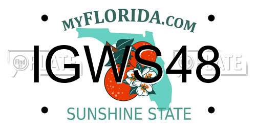 IGWS48 Florida License Plate
