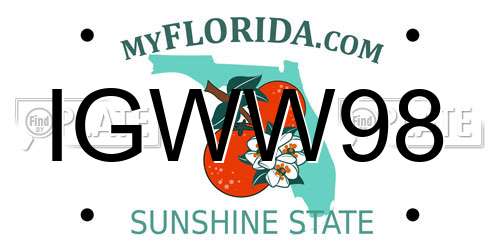 IGWW98 Florida License Plate