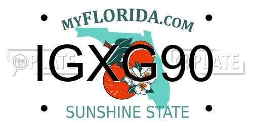 IGXG90 Florida License Plate