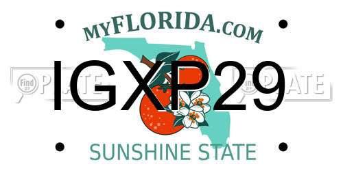 IGXP29 Florida License Plate