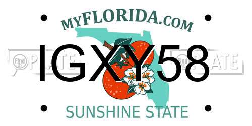 IGXY58 Florida License Plate