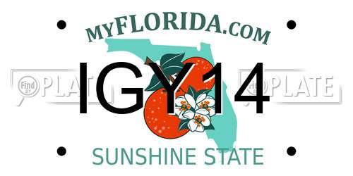 IGY14 Florida License Plate