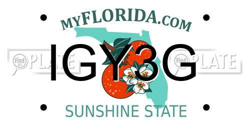 IGY3G Florida License Plate