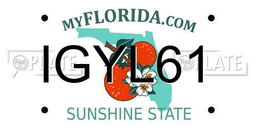 IGYL61 Florida License Plate