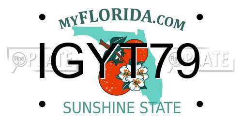 IGYT79 Florida License Plate
