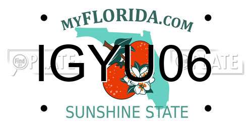 IGYU06 Florida License Plate