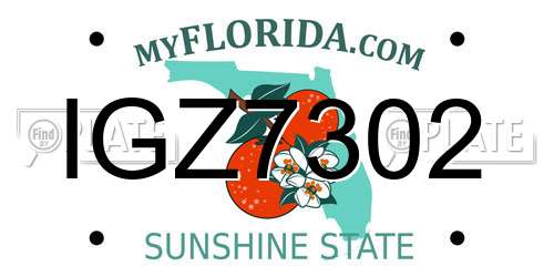 IGZ7302 Florida License Plate