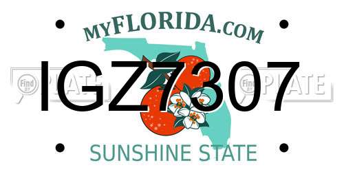 IGZ7307 Florida License Plate