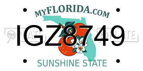 IGZ8749 Florida License Plate