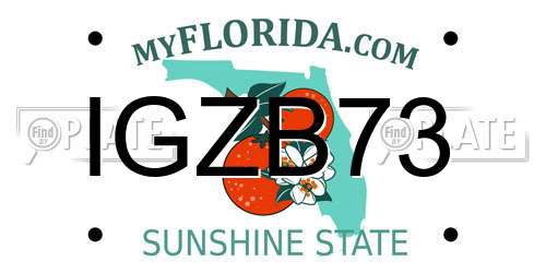 IGZB73 Florida License Plate