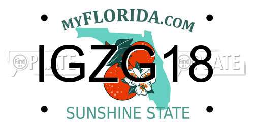 IGZG18 Florida License Plate