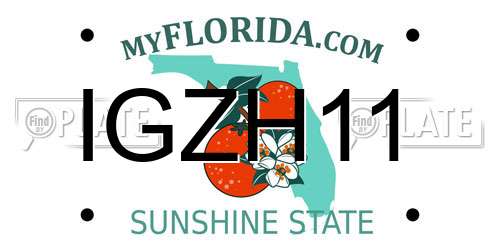 IGZH11 Florida License Plate