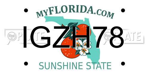 IGZH78 Florida License Plate