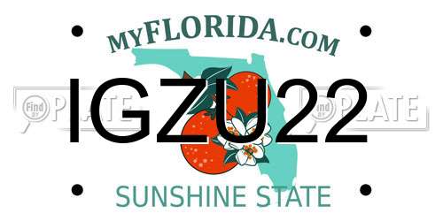 IGZU22 Florida License Plate