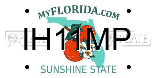 IH11MP Florida License Plate
