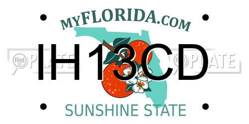 IH13CD Florida License Plate