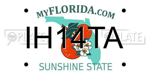 IH14TA Florida License Plate