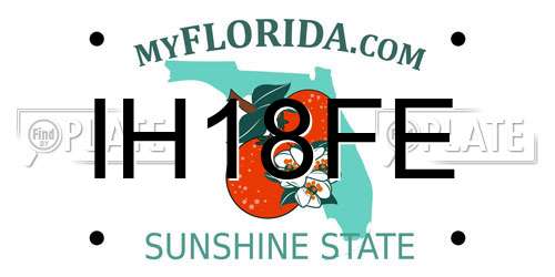 IH18FE Florida License Plate