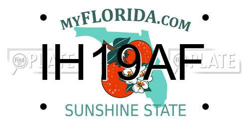 IH19AF Florida License Plate