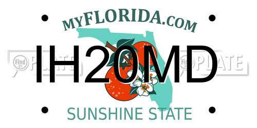 IH20MD Florida License Plate