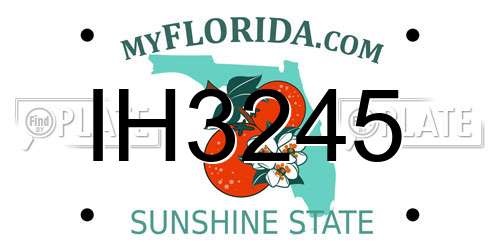 IH3245 Florida License Plate