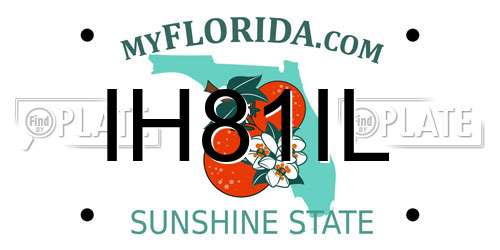 IH81IL Florida License Plate