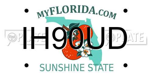 IH90UD Florida License Plate