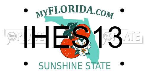 IHES13 Florida License Plate