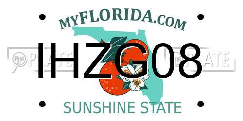 IHZG08 Florida License Plate