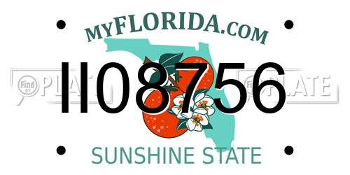 II08756 Florida License Plate
