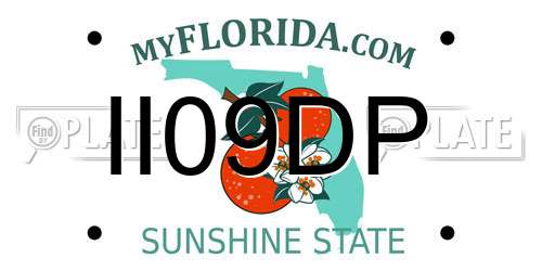 II09DP Florida License Plate