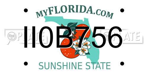 II0B756 Florida License Plate