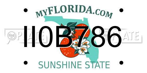 II0B786 Florida License Plate